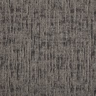 DSGN Absolute 141